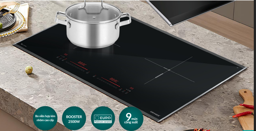 Bếp từ GrandX GX IP676SE